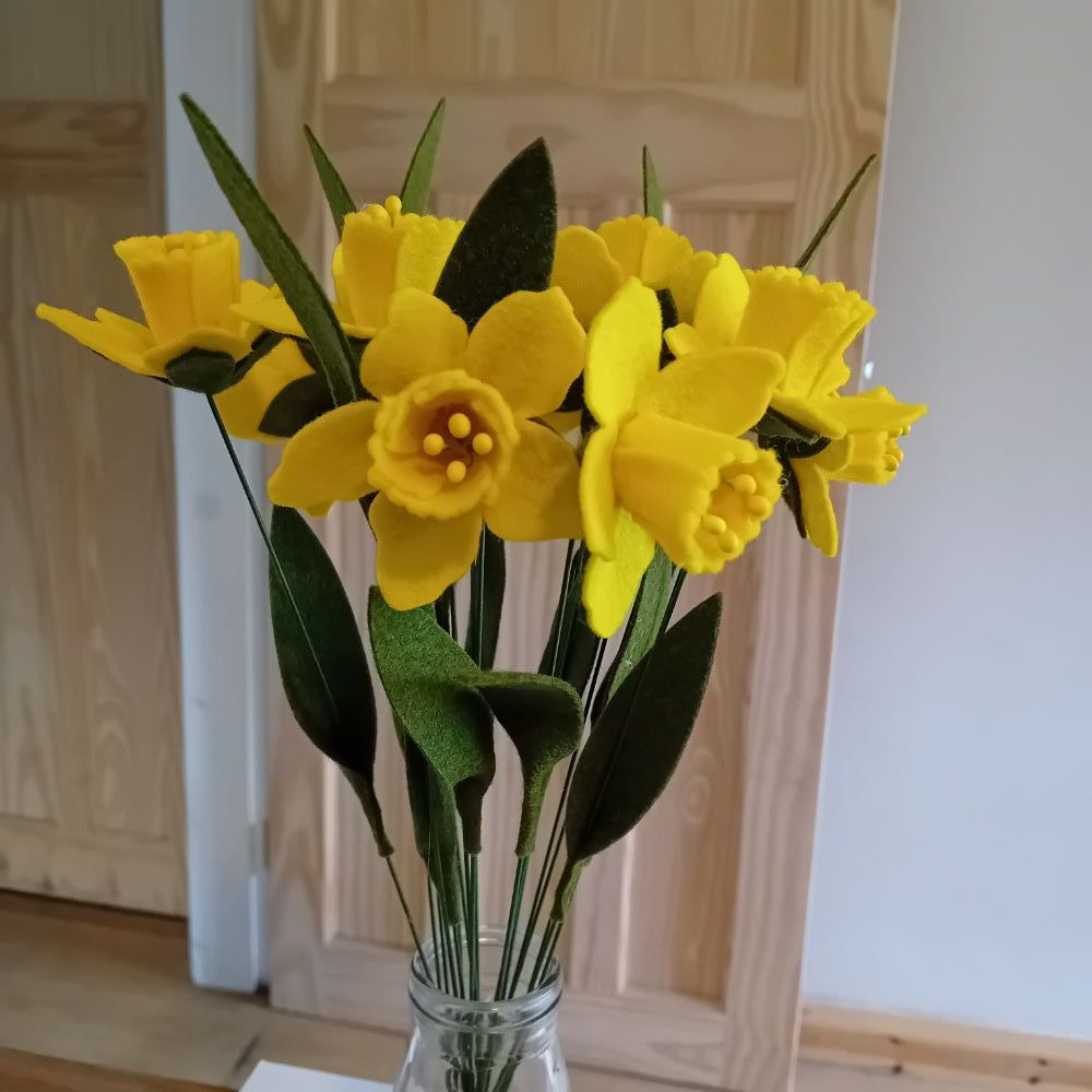 Daffodil Collection