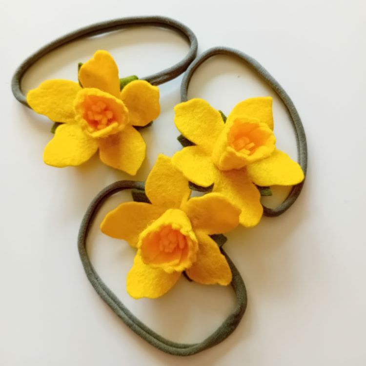 Hair Accessories