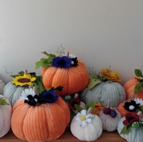 The Pumpkin Patch