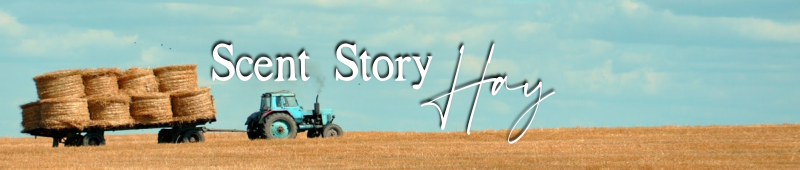 Scent Story Hay