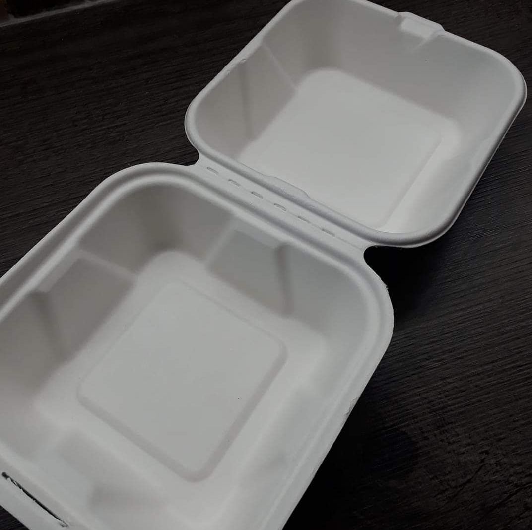 bagasse box