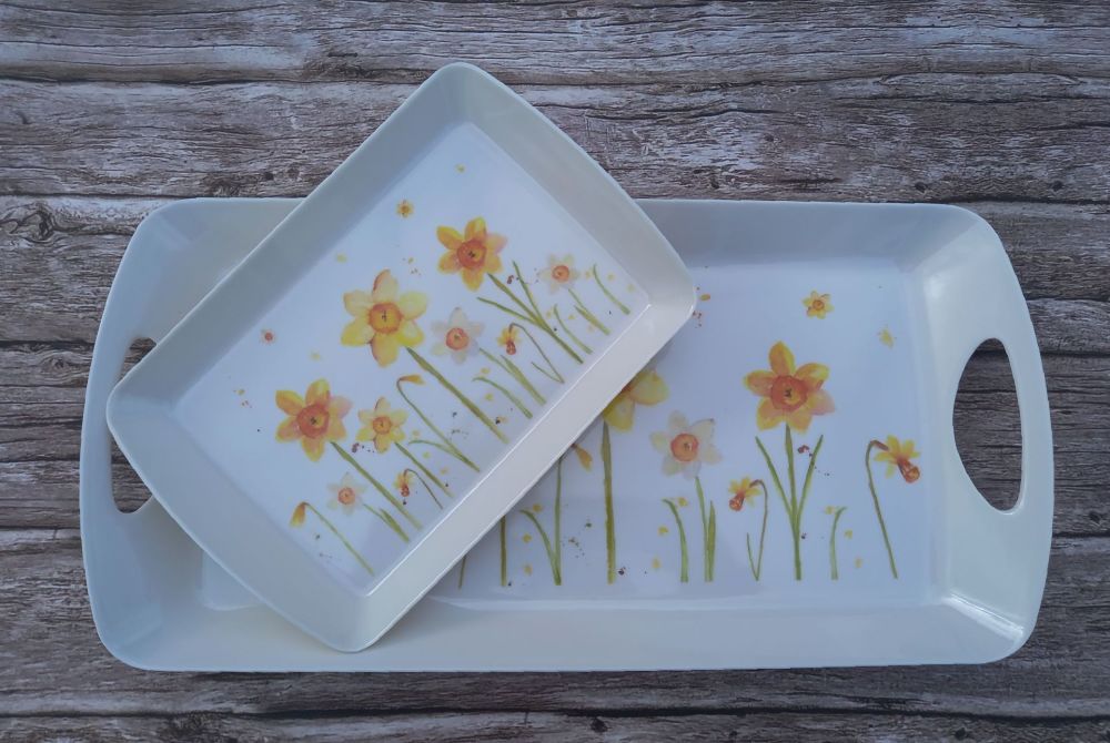 Daffodils - Set of Trays