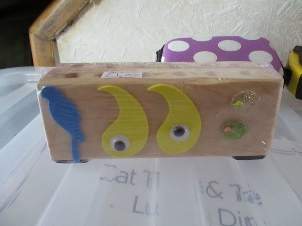 Parrot & Eyes - Wooden Stationery Caddy - Des In The Shed
