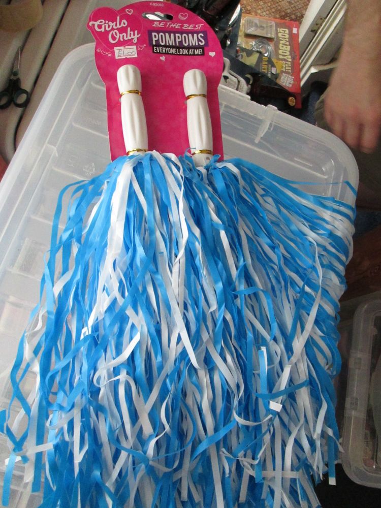 Blue & White Girls Only Plastic Pom Poms