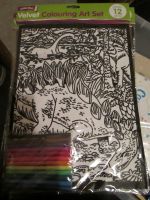 Dinosaurs - Velvet Colouring Art Set with 12 Felt Pens - Crafty Creations