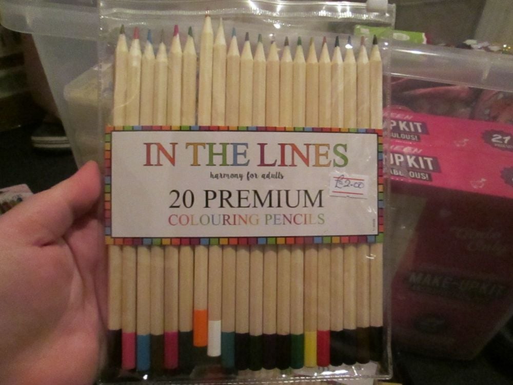 In The Lines - 20 Premium Colouring Pencils