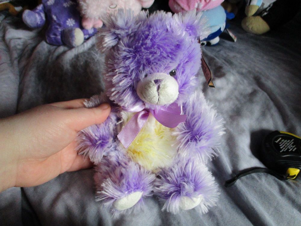 (*)Purple Frosted Bear - Soft Sensations - Soft Toy