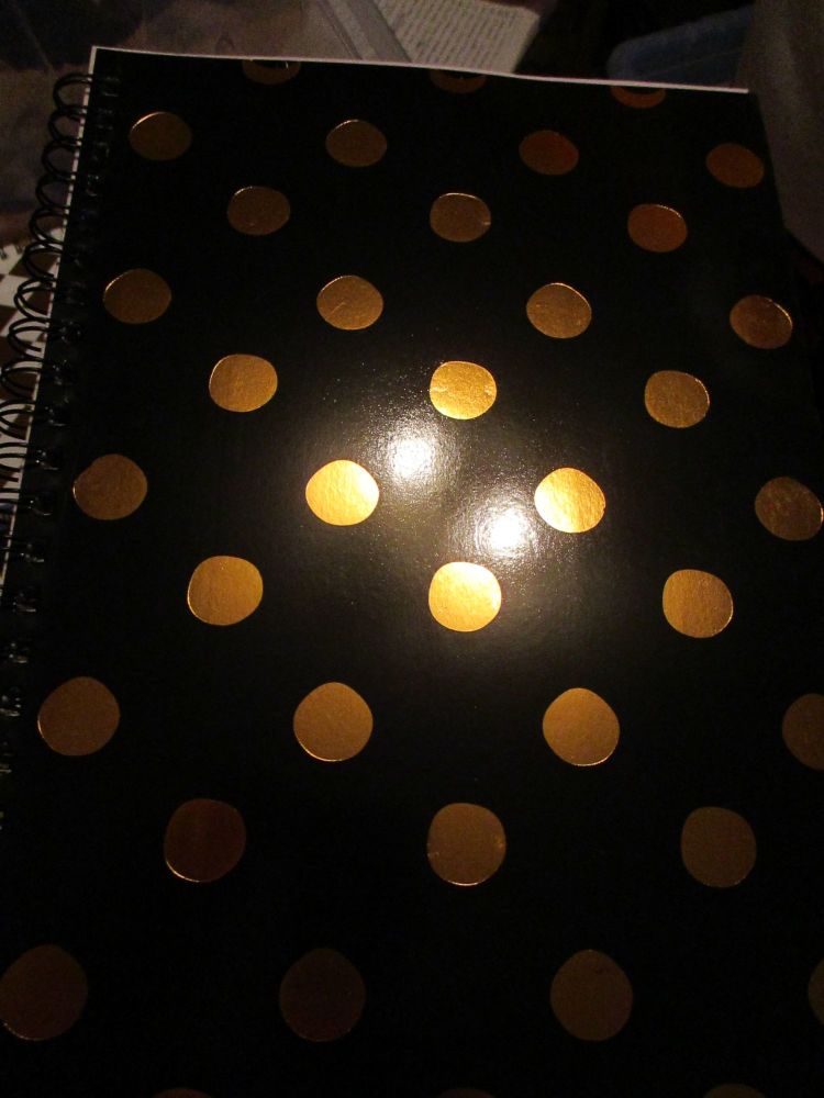 Black / Gold Spotted 140pg Cardback Spiral A4 Lined Notebook