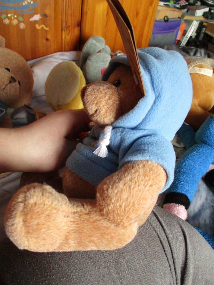 (*)Medium Brown Bear with Blue Hoodie - Hugs & Co - Soft Toy