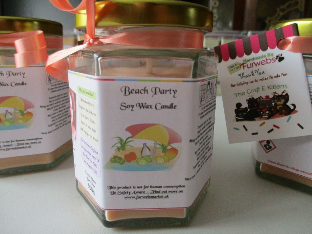 Beach Party Scented Soy Wax Candle 300g
