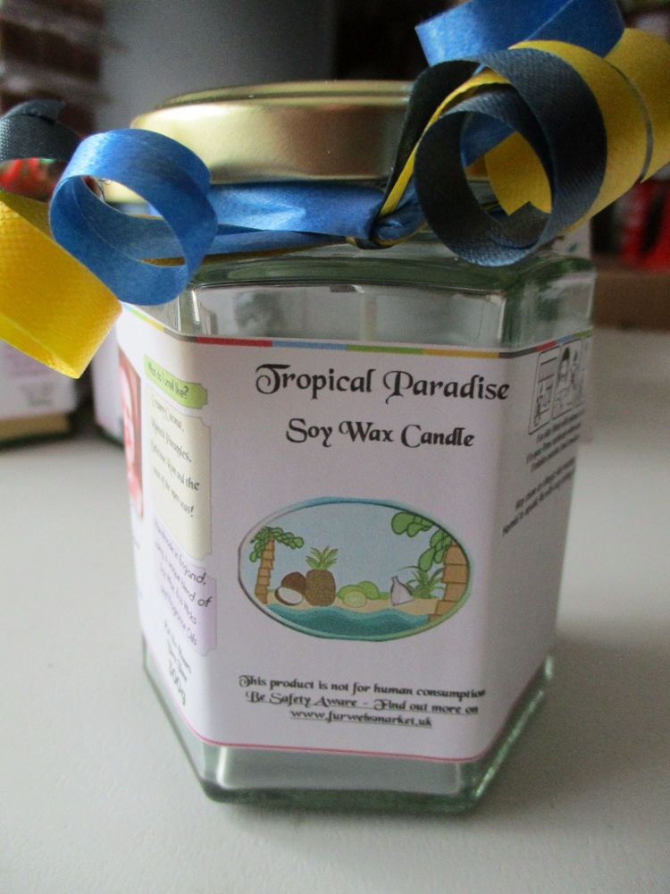Tropical Paradise Scented Soy Wax Candle 300g