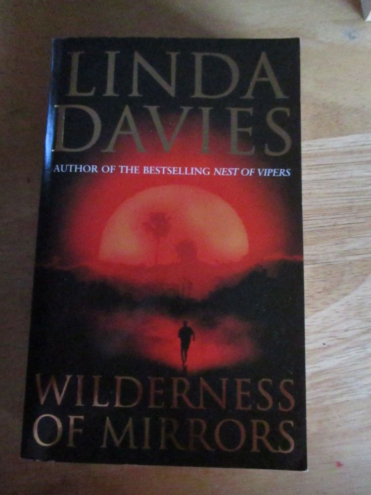 Linda Davies - Wilderness Of Mirrors - Paperback