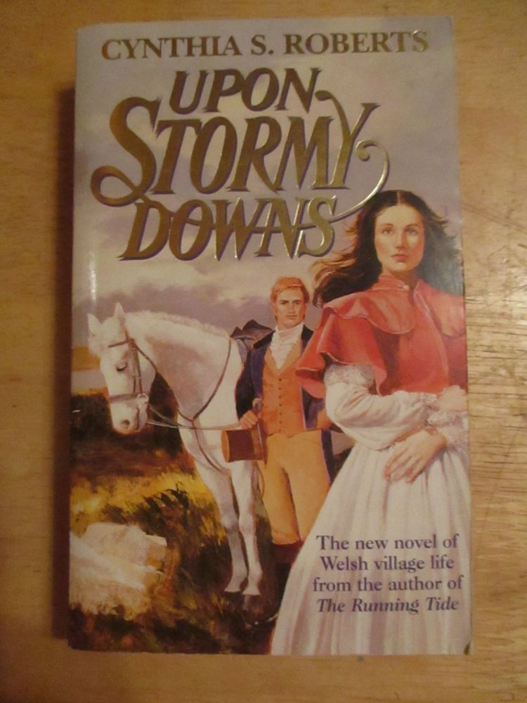 Cynthia S Roberts - Upon Stormy Downs - Paperback