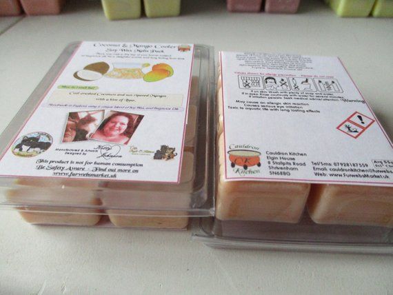 Coconut & Mango Cooler Scented Soy Wax Melts Pack