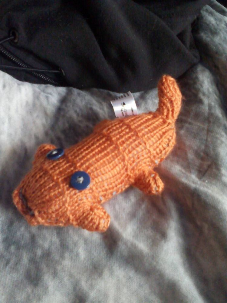Orange Body with Blue Eyes Mini Scuttle