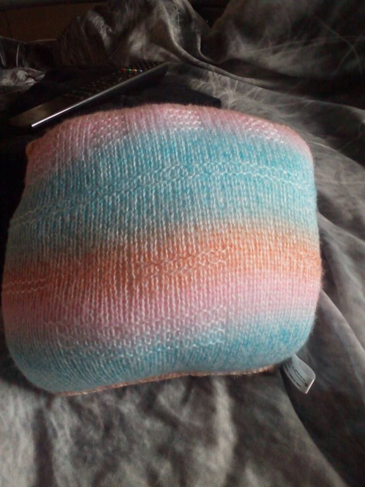 (*)Blue, Peach and Pink Rainbow Sedge Cushion