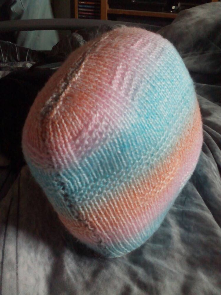 (*)Blue, Peach and Pink Rainbow Sedge Cushion