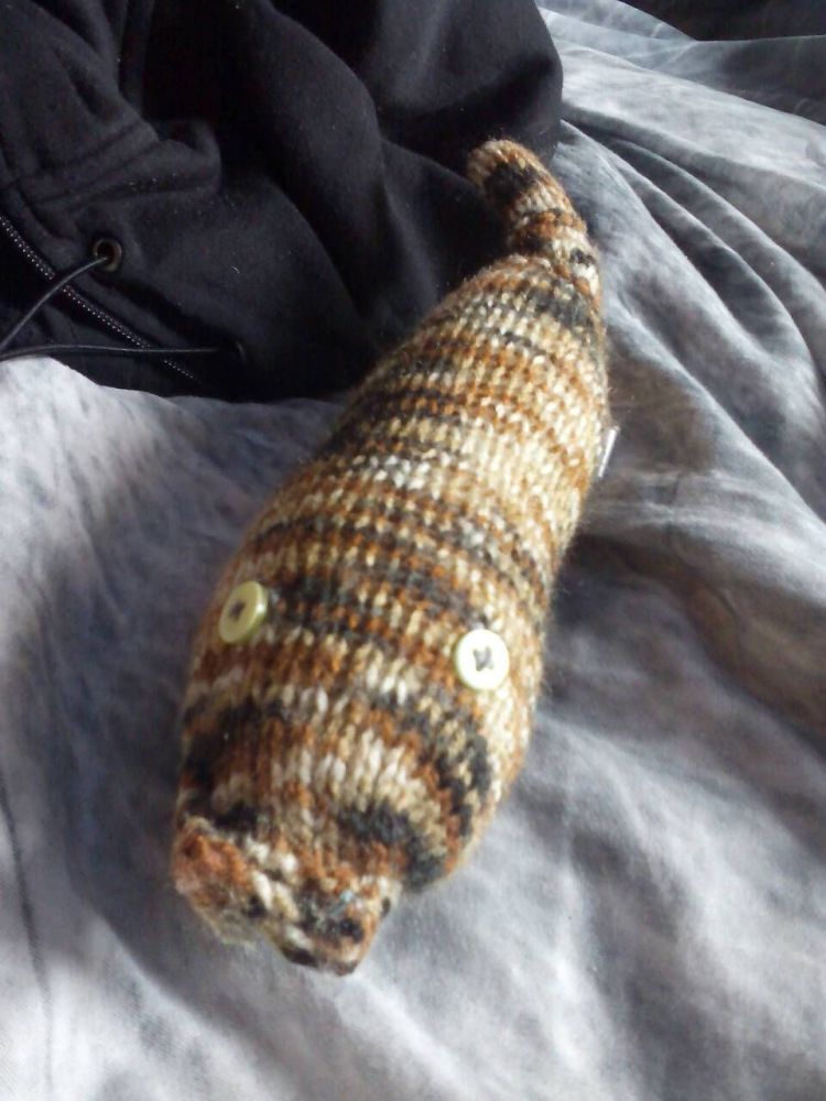 Brown Rainbow Body with Lemon Eyes Syd Snake