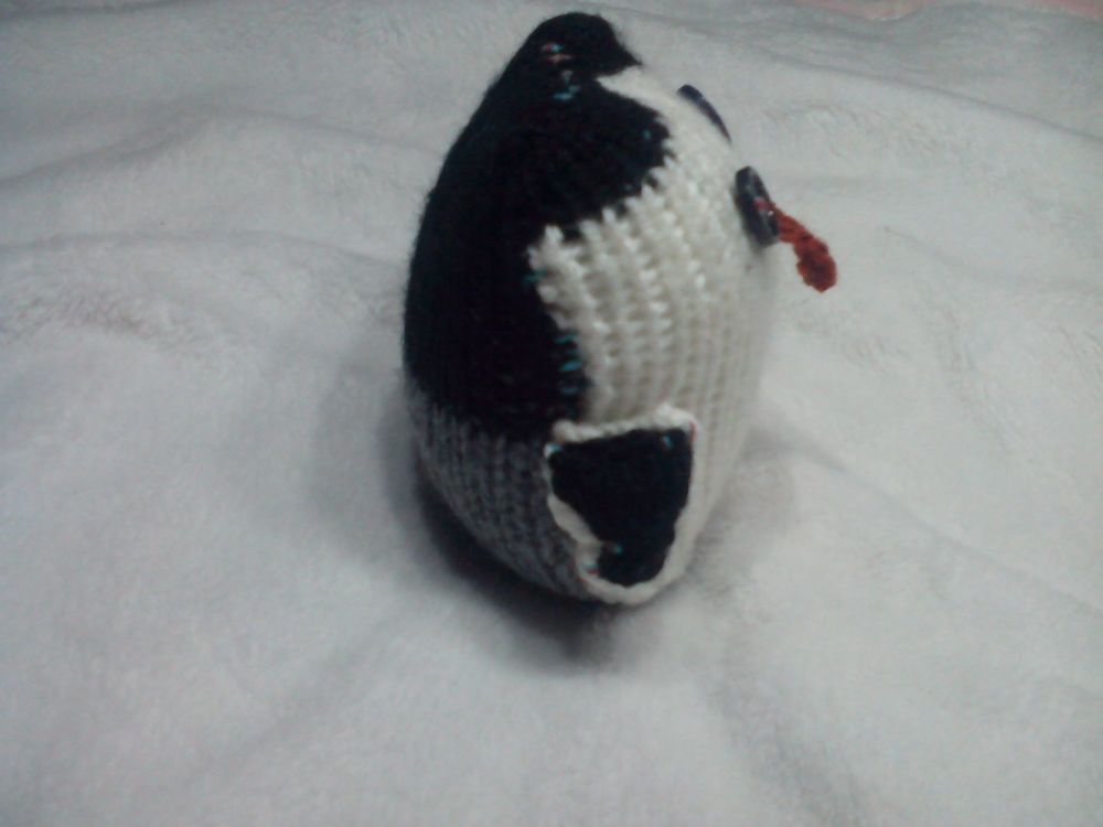 Baby Grey Black White Penguin - Dark Orange Beak - Black Eyes