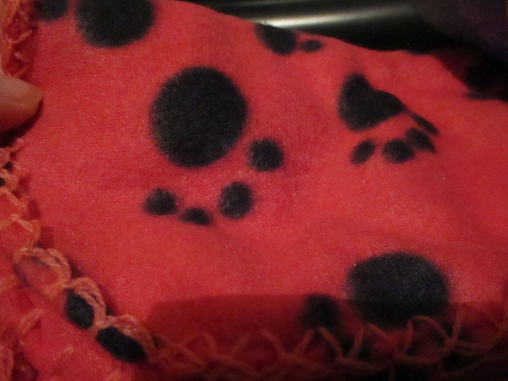 Red Paw Print Patterned - 100cm x 60cm Extra Soft Fleece Blanket for Cats / Dogs - Kingdom Pet Care Essentials