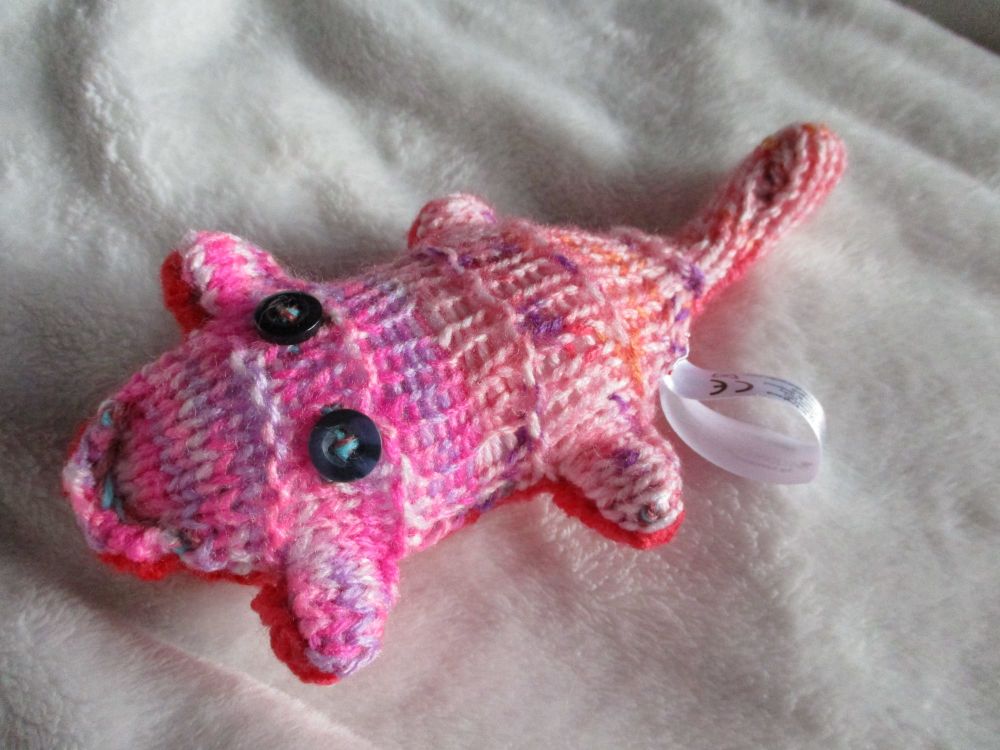 Red Pink Rainbow with Slate Blue Eyes Mini Scuttle