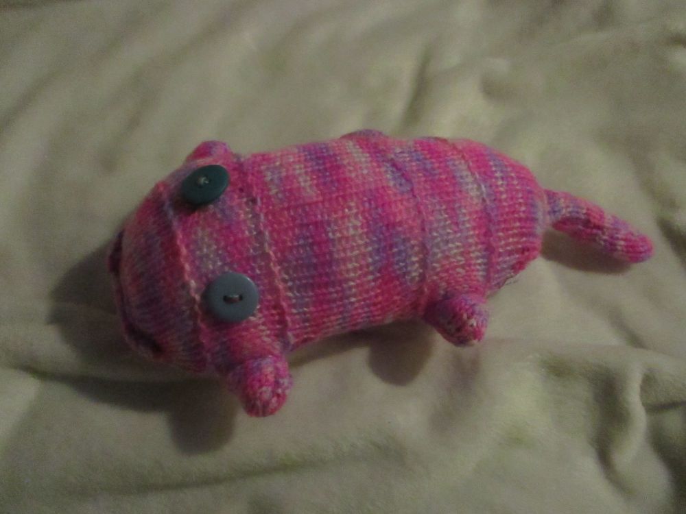 Pink Purple Mottle with Slate Eyes Scuttle Cat