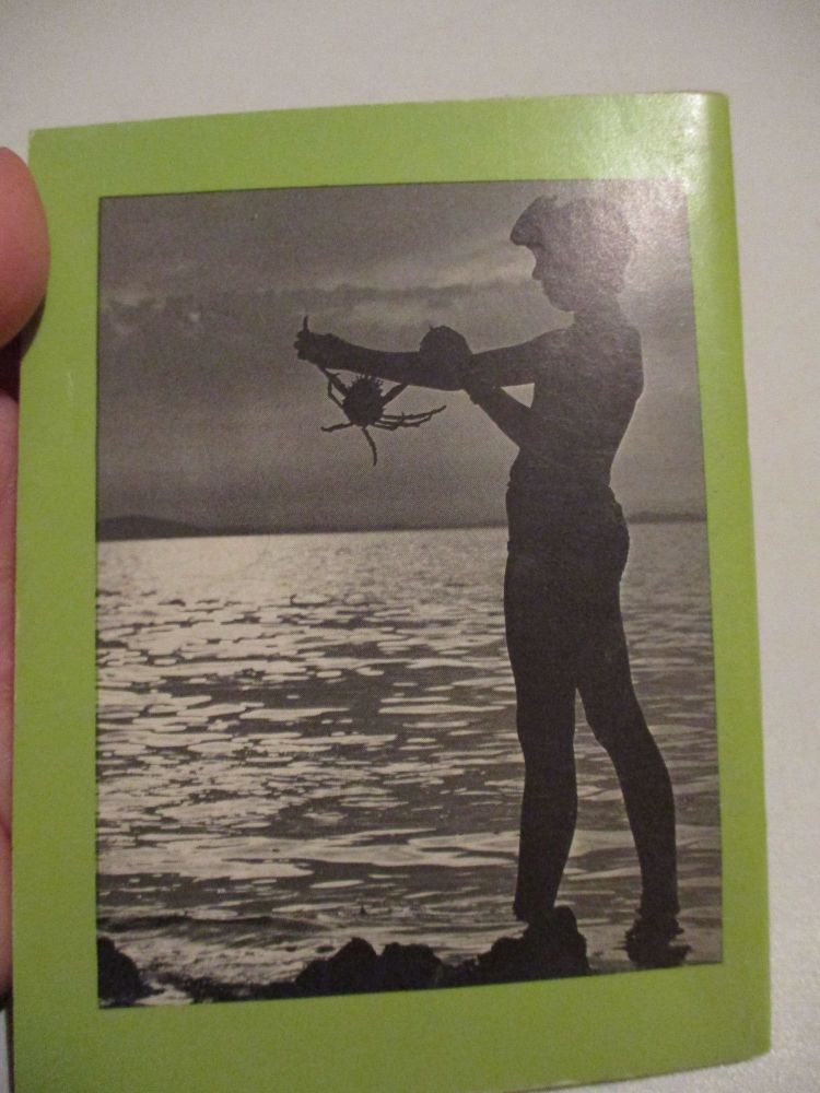I-Spy In Spring and Summer - retro pocket guides