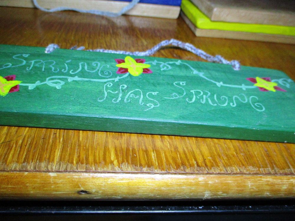 Spring Has Sprung  - Wooden Painted Sign