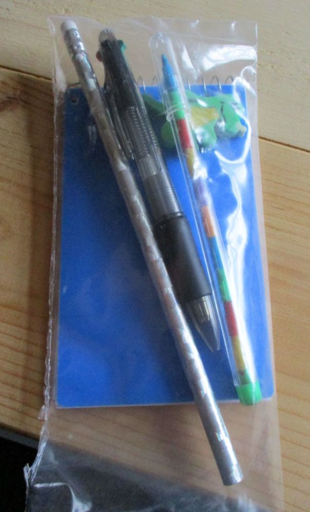 Blue Notebook Silver Holographic Pencil Stacker Crayon 4-click Pen and Croc Eraser Set