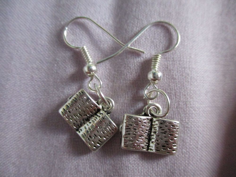 Small Books Styled Earrings