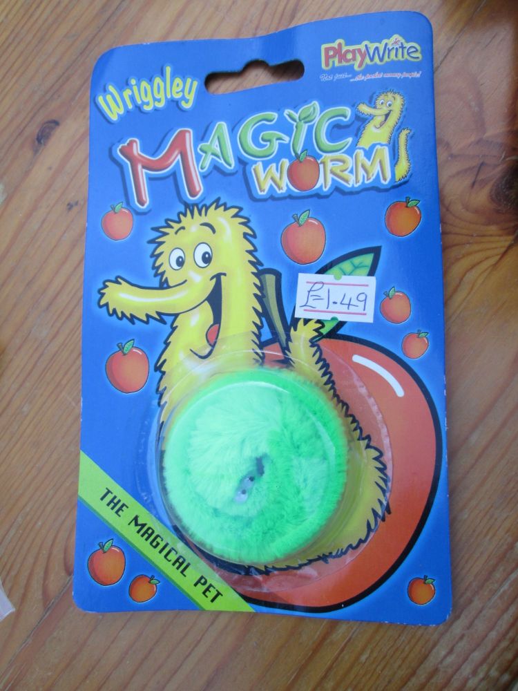 Green Wriggley Magical Worm - Playwrite
