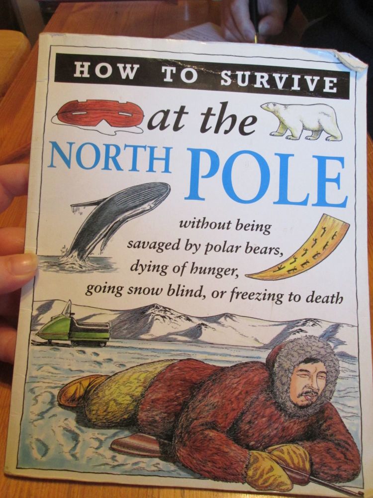 How to survive - At the North Pole - Simon and Schuster Young Books