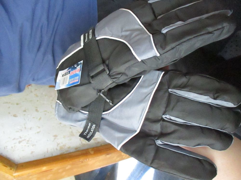 Grey and Black Ski Gloves - Royal Collection