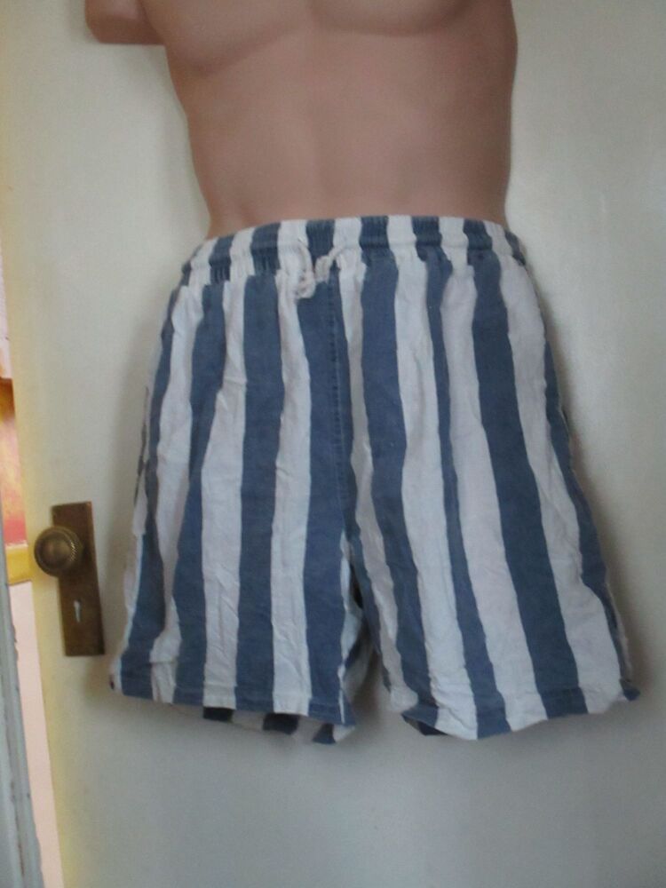 River Mountain "Made To Fade" Blue and White Shorts - Vintage - Size L