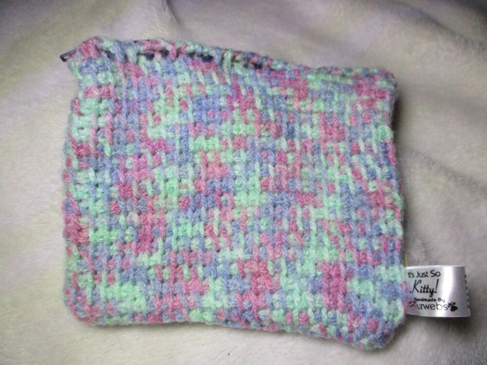 Mint Green & Purple Rainbow Tunisian Crochet Yarn Zipped Pouch/Purse with Purple Zip