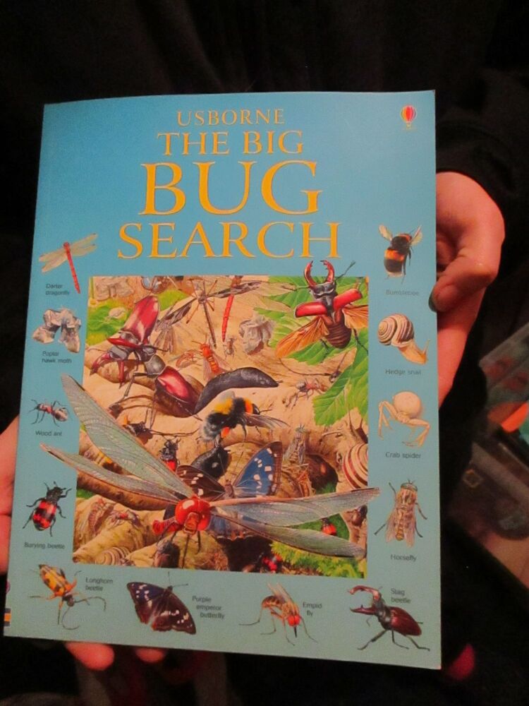 Usborne The Big Bug Search