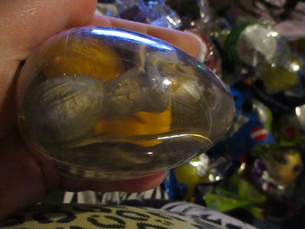 Orange Goo in Silver Shell - Twin Alien Egg Slime Toy - Hoot