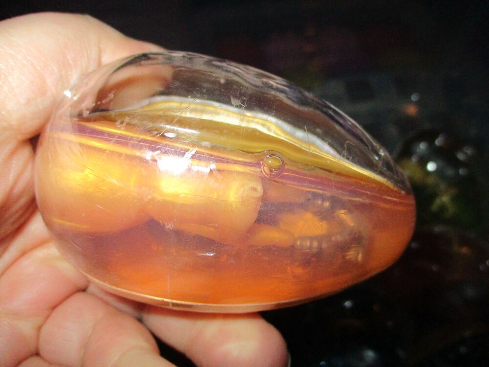 Orange Goo in Gold Shell - Twin Alien Egg Slime Toy - Hoot