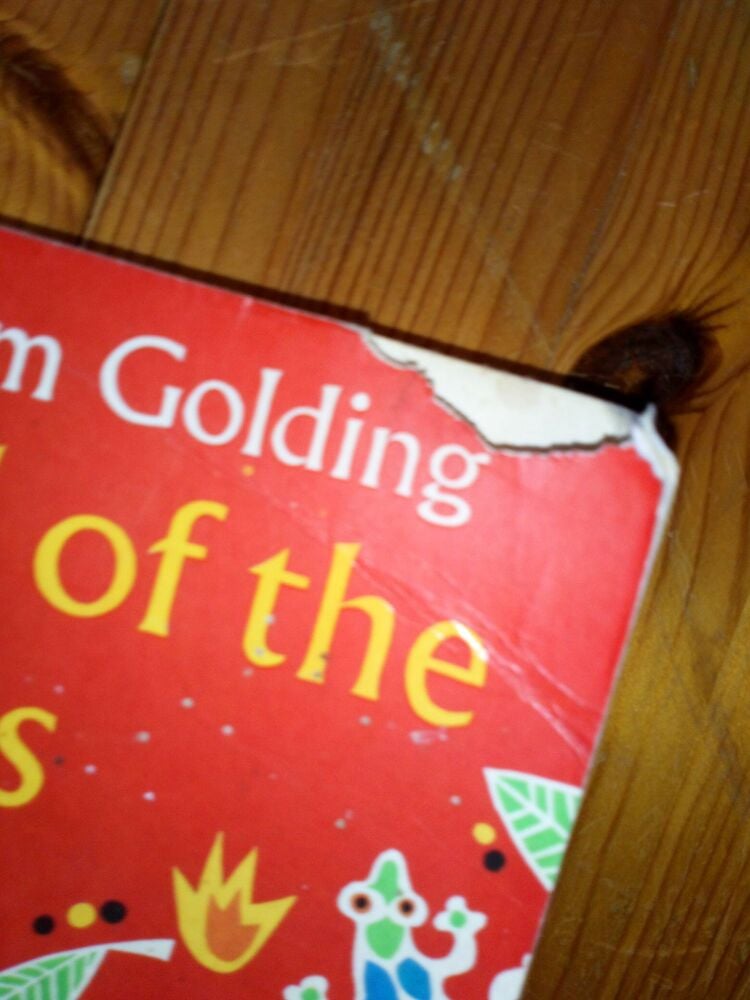 Lord Of The Flies - William Golding - Paperback (Tatty cover)