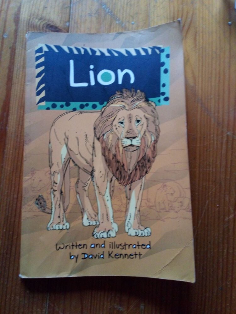 Lion - Written And Illustrated By David Kennett - Paperback (Inside page water stained)