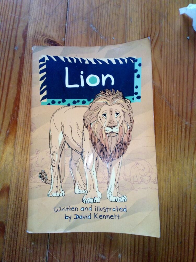 Lion - Written And Illustrated By David Kennett - Paperback (Inside page water stained)