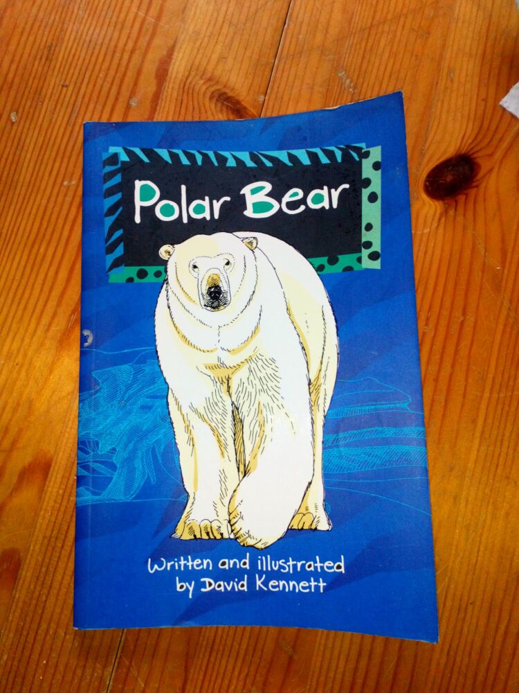 Polar Bear - David Kennett - Paperback