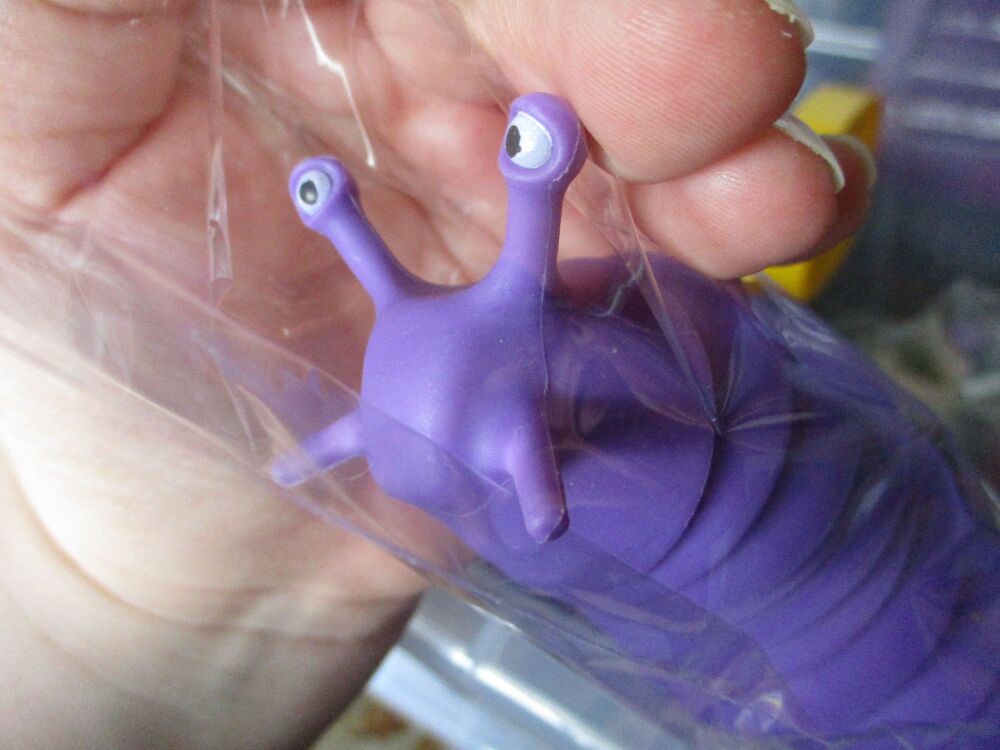 Purple Plastic Wriggly Slug Fidget Toy Figure - Hoot