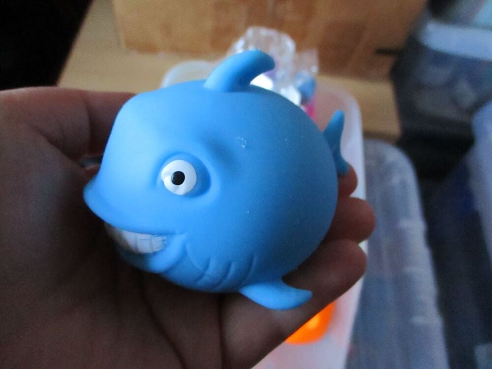 Blue Squishy Shark  - Hoot