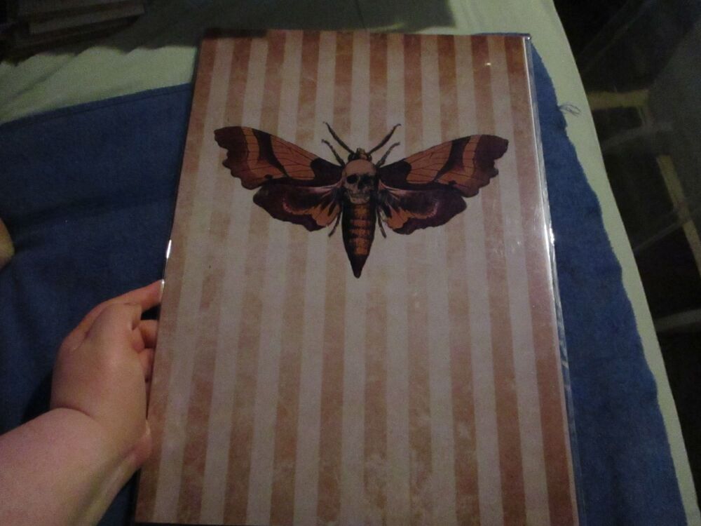 Death's Head Moth - Professional Print - A3 Size. By Goblin Dreams