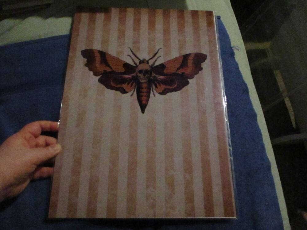 Death's Head Moth - Professional Print - A3 Size. By Goblin Dreams