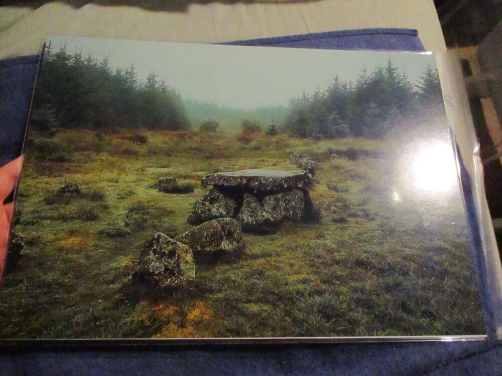 Cairn Stones (Bellever Forest) - Professional Print - A3 Size. By Goblin Dreams