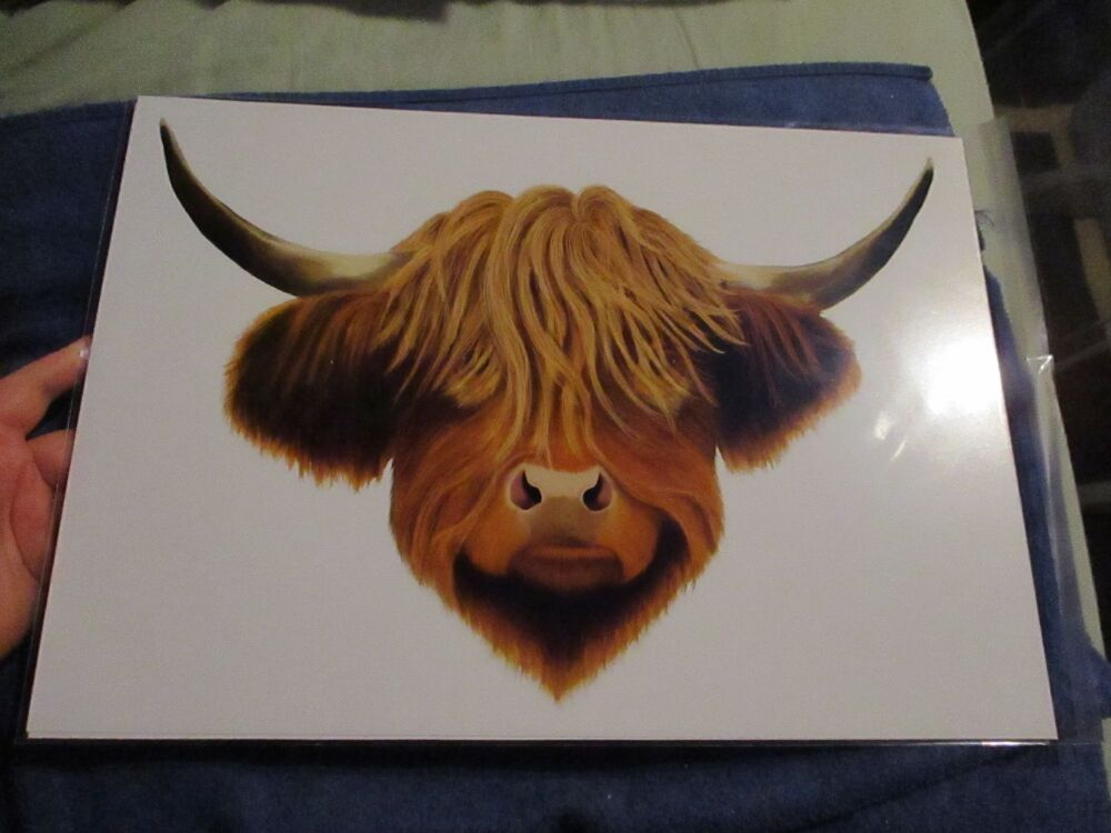 Highland Coo (Cow) - Professional Print - A3 Size. By Goblin Dreams