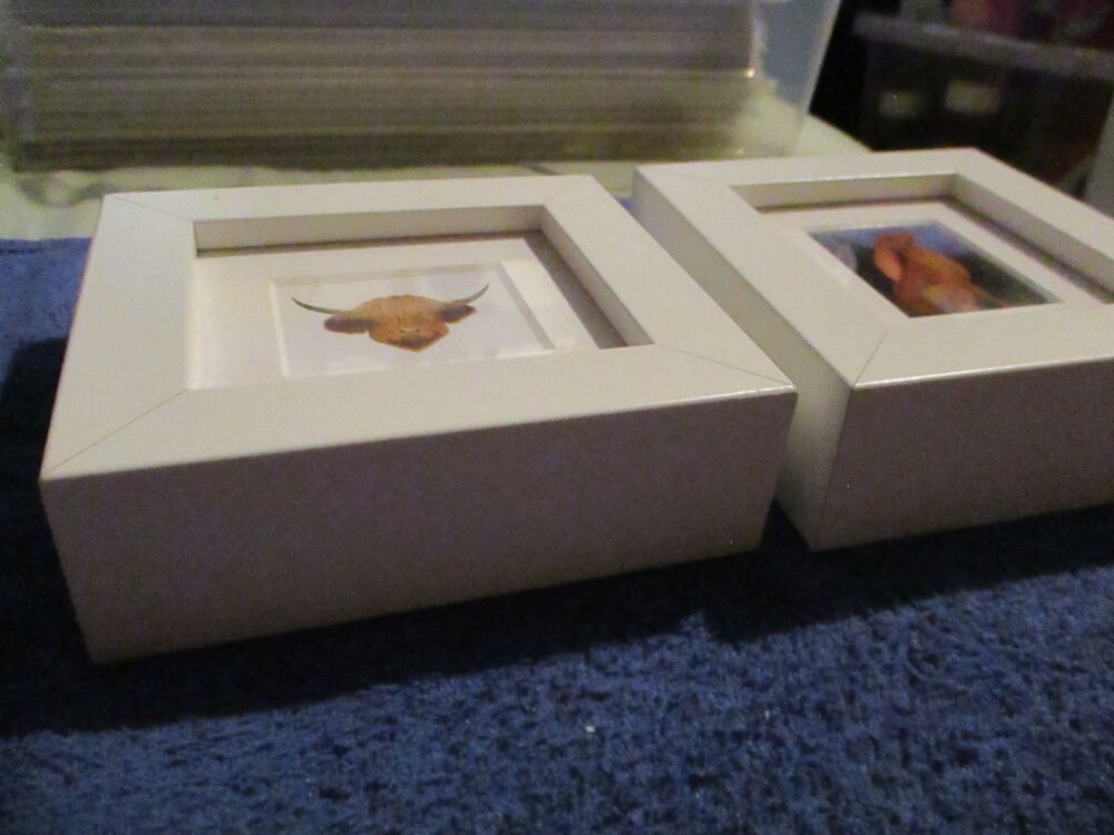 Pair of Miniature framed pictures - Coo & Moon Gazing Hair - Professional Print By Goblin Dreams