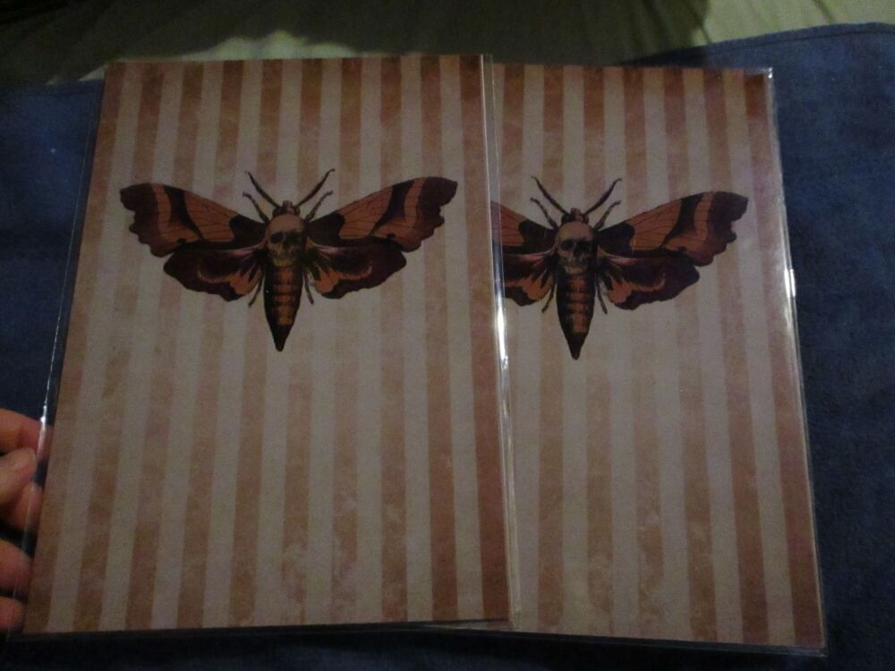 Death's Head Moth -  Professional Print - A4 Size. By Goblin Dreams